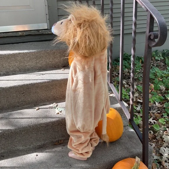 🎃 Lion Costume - Picture 3 of 7